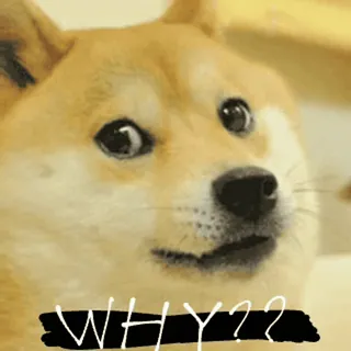 ❔ WHY?? pies, mem, pytanie, śmieszne, zdezorientowany telegram sticker
