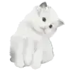 🐈⬛