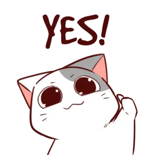 👍 YES! mèo, có, chấp thuận, dễ thương, vui vẻ, nhãn dán, tích cực telegram sticker