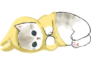👕 cat, kitten, cute, animal, pet, yellow telegram sticker