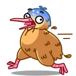 😰 pássaro, kiwi, correndo, desenho animado, animal, engraçado telegram sticker