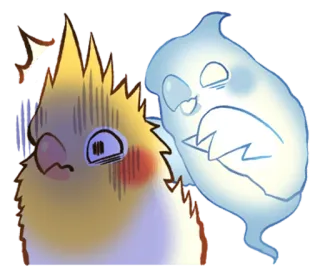😨 cockatiel, fantôme, effrayant, apeuré, oiseau, mignon, dessin animé whatsapp sticker