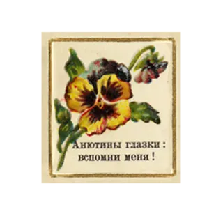 😘 Анютины глазки: вспомни меня! fleur, pensée, floral, russe, texte, vintage telegram sticker