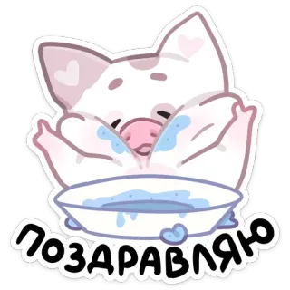 🥳 Поздравляю 고양이, 아기, 귀여운, 일러스트, 축하, 동물 whatsapp sticker