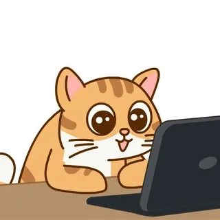 🚀 gato, computador, fofo, animal, desenho animado telegram sticker