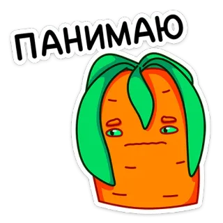 😐 ПАНИМАЮ морковь, грустный, овощ, стикер, иллюстрация whatsapp sticker