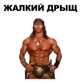 💪 ЖАЛКИЙ ДРЫЩ arnold schwarzenegger, conan, miecz, mięśnie, kulturystyka, rosyjski telegram sticker