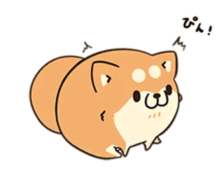 🐶 ぴん! Hund, süß, Shiba Inu, Tier, japanisch, kawaii, Cartoon telegram sticker