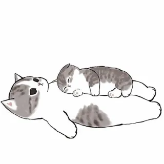 .𓏲࣪/@bbyhwa/ & @yanepidora1s𓏲ּ ֶָ :: @fStikBot telegram stickers