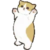 💃