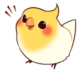 😃 นก, ค็อกกาเทล, น่ารัก, สัตว์, การ์ตูน, สัตว์เลี้ยง, สีเหลือง, นก telegram sticker