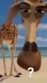 🤩 girafe, animation, point d'interrogation, animal cartoon, drôle, mème, curieux whatsapp sticker