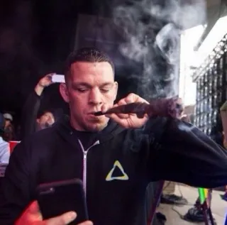 🐵 Nate Diaz 格斗士, 运动员, mma, 吸烟, 大麻 telegram sticker