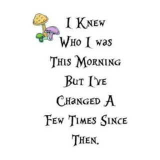 🤪 I KNEW
WHO I was
THIS MORNING
BUT I'VE
CHANGED A
FEW TIMES SINCE
-
THEN. whatsapp sticker