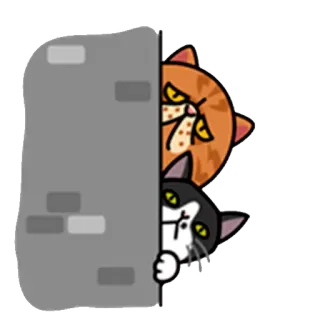 👀 кот, подглядывание, стена, мультфильм, наклейка, животные whatsapp sticker