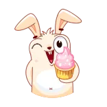 🐰