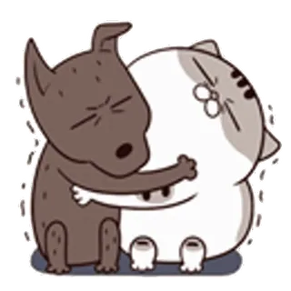 🙀 Hund, Katze, Freundschaft, Umarmung, süß, Tier, Cartoon telegram sticker