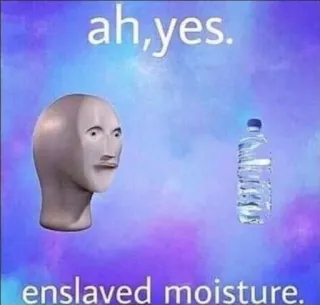 💧 ah, yes. enslaved moisture. Mème, Humour, Eau, Stonks, Drôle whatsapp sticker