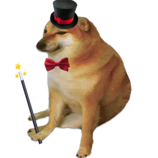 💫 犬, チムス, シルクハット, 蝶ネクタイ, ミーム telegram sticker