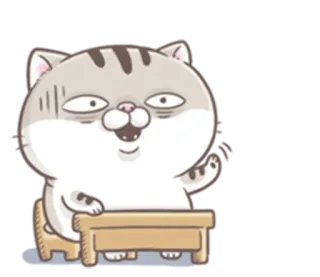 🖐 Katze, Tier, süß, Cartoon, Aufkleber whatsapp sticker