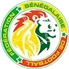 🇸🇳