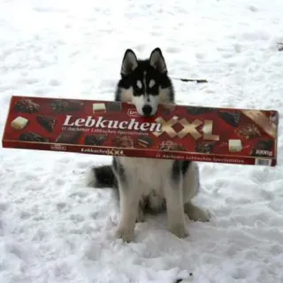 🍪 Lebkuchen XXL telegram sticker