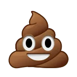 💩