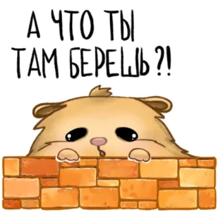 🙄 А ЧТО ТЫ ТАМ БЕРЕШЬ ?! ハムスター, 壁, 質問, 可愛い, 動物 telegram sticker