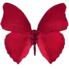 🦋