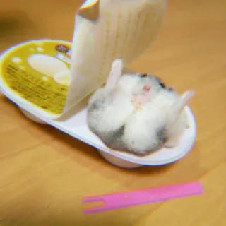 ✨ Hamster, Tier, Haustier, süß, schlafend whatsapp sticker