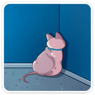 🙈 cat, sphynx, animal, pet, corner, sitting, domestic cat telegram sticker