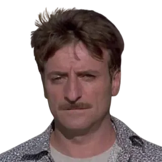 🤨 telegram sticker