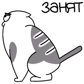 💩 занят Katze, beschäftigt, Sticker, Cartoon, Tier, russisch telegram sticker