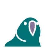☺️ птица, попугай, животное, милый, синий, бирюзовый whatsapp sticker
