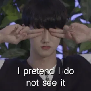 🙈 I pretend I do not see it esconder, fingir, ver, ignorar, meme, gracioso, adolescente, joven telegram sticker