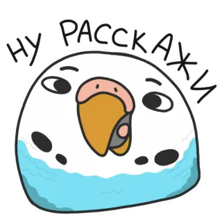 😜 НУ РАССКАЖИ 鸟, 鹦鹉, 可爱, 搞笑, 贴纸 telegram sticker