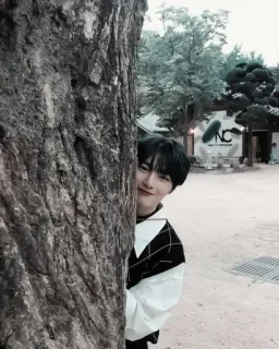 🦊 personne, arbre, souriant, extérieur, portrait, coréen whatsapp sticker