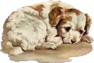 😔 cane, cucciolo, animale, animale domestico, carino whatsapp sticker