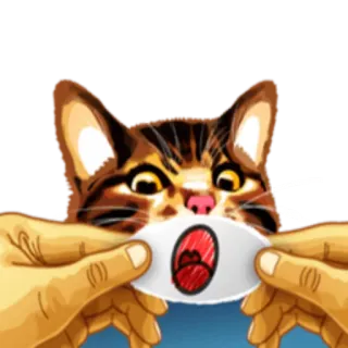 😱 кот, в шоке, стикер, животное, смешной, милый whatsapp sticker