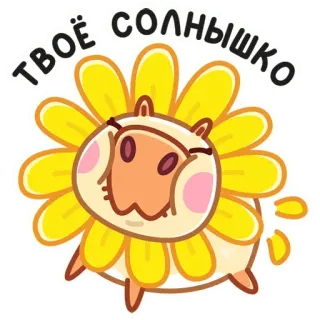 🌞 ТВОЁ СОЛНЫШКО подсолнух, милый, животное, мультфильм, очаровательный, лепестки, приветствие telegram sticker