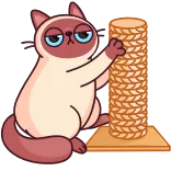 🐾