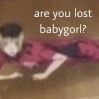 🖕 are you lost babygorl? Meme, Humor, Gíria da Internet, Babygorl whatsapp sticker