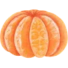 🍊