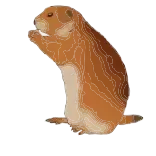 🦫