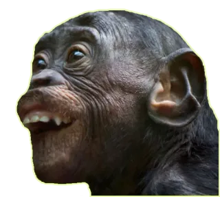 Heyvoon telegram stickers