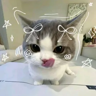 Больше стиков тут: @stikery4 telegram stickers