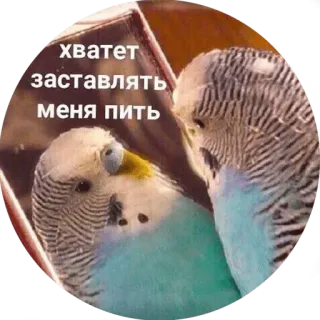 🤢 хватет заставлять меня пить telegram sticker