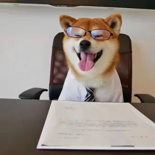 🤓 chien, shiba inu, lunettes, bureau, affaires, animal telegram sticker