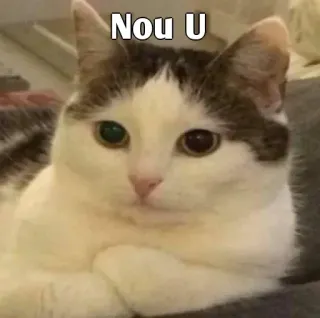 кคкครн¡×нãțaҟês kang pack telegram stickers