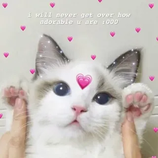 ❤️ i will never get over how adorable u are :000 chat, adorable, mignon, cœur, amour, animal de compagnie, animal telegram sticker